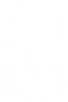 SkySignet